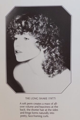 THE LONG SHAKE (1977)ザ・ロングシェイクVIDAL SASSOON ヴィダル・サッスーン